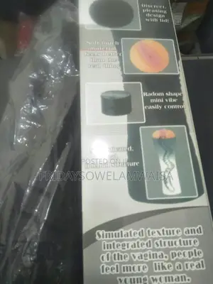 Vibrator Pussy Flashlight .