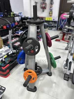 Olympic Weight Plates Rack