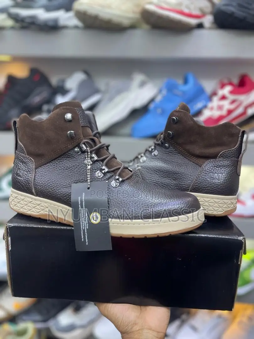 Cat Boots Shoes
