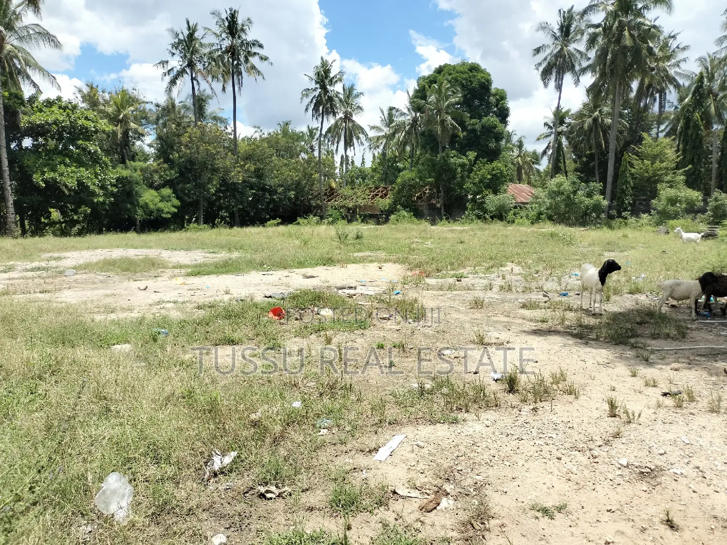Open Space/Yard For Rent At Mbuyuni Salasala