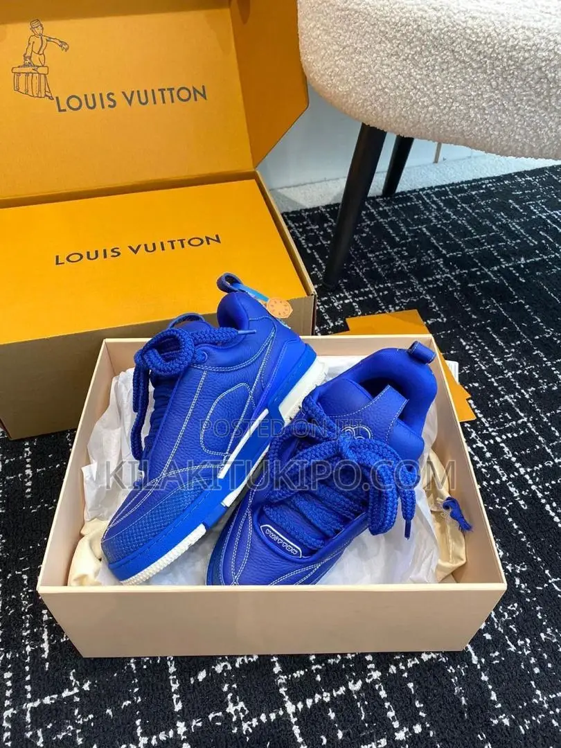 Louis Vuitton New 2024