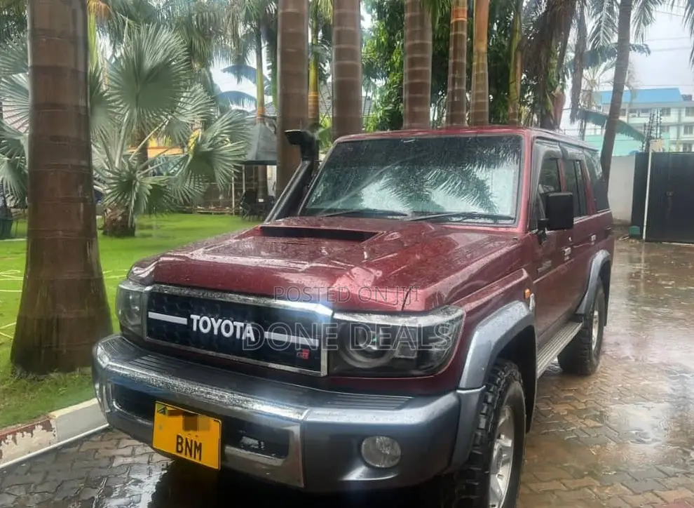 Toyota Land Cruiser 2010 Purple