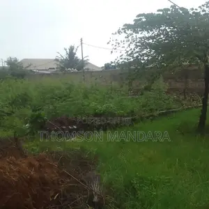 Plot at Makonde 1860square Meter