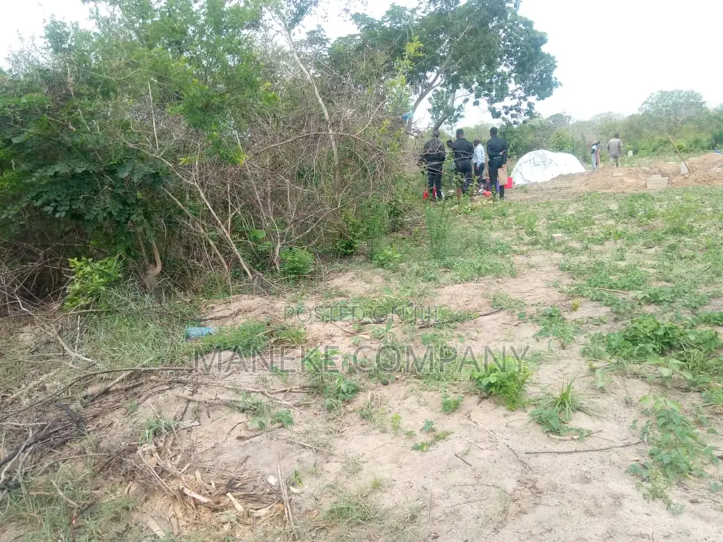 Kiwanja Kikubwa Sana Kina Hati Kinauzwa Kwa Mnada Mlandizi