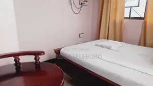 Furnished Studio Apartment in Sinza E for rent