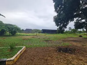 Yard at Kigamboni Mji Mwema