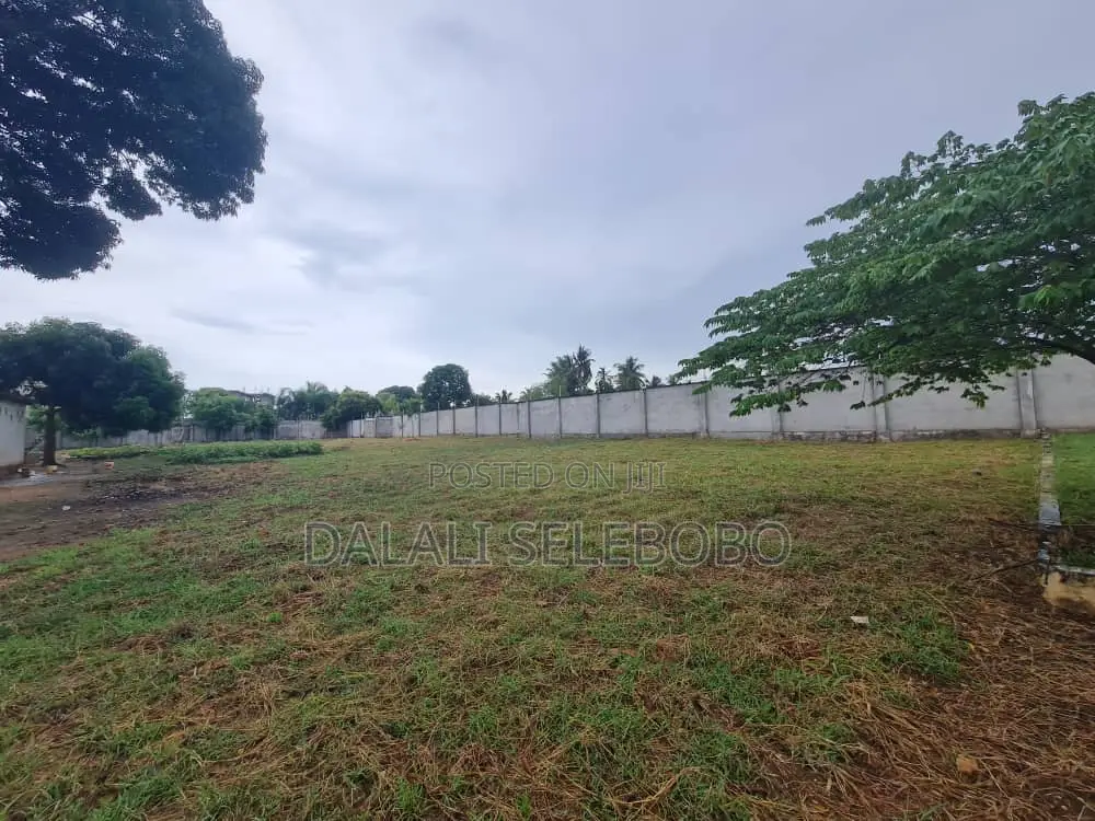 Yard at Kigamboni Mji Mwema
