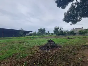 Yard at Kigamboni Mji Mwema