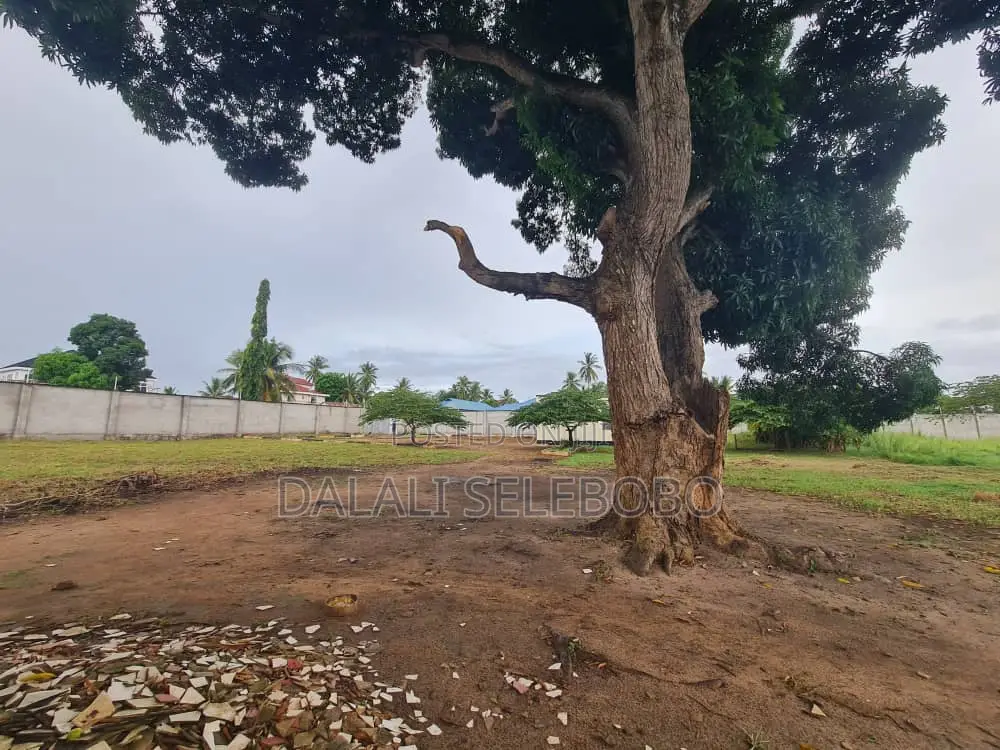 Yard at Kigamboni Mji Mwema