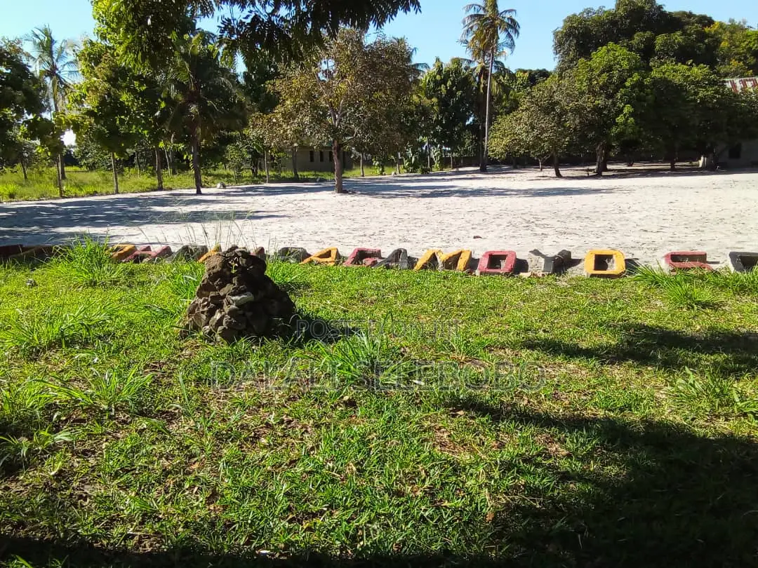 School Sale at Bagamoyo