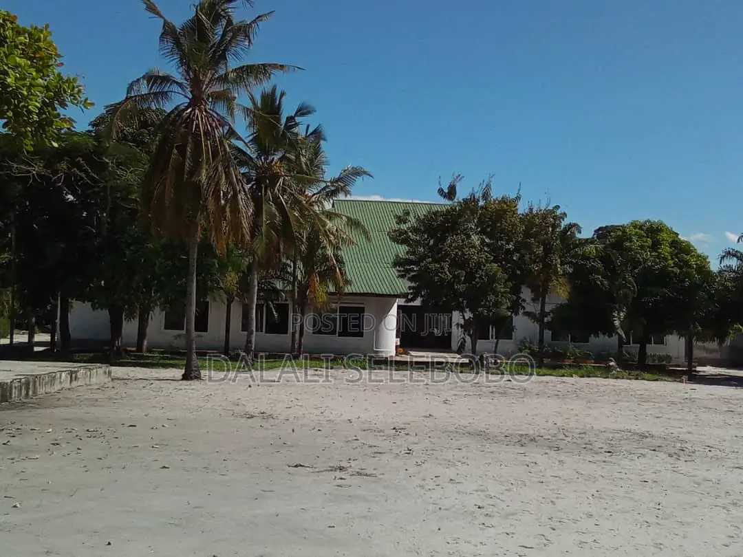 School Sale at Bagamoyo