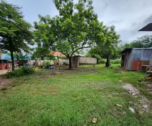 Plot Inagusa Lami at Goba Contena