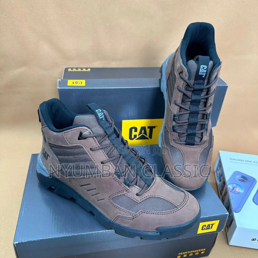 Cat Boots Shoes
