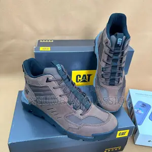 Cat Boots Shoes