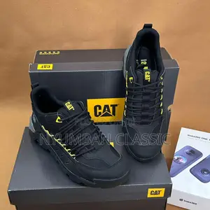 Cat Boots Shoes