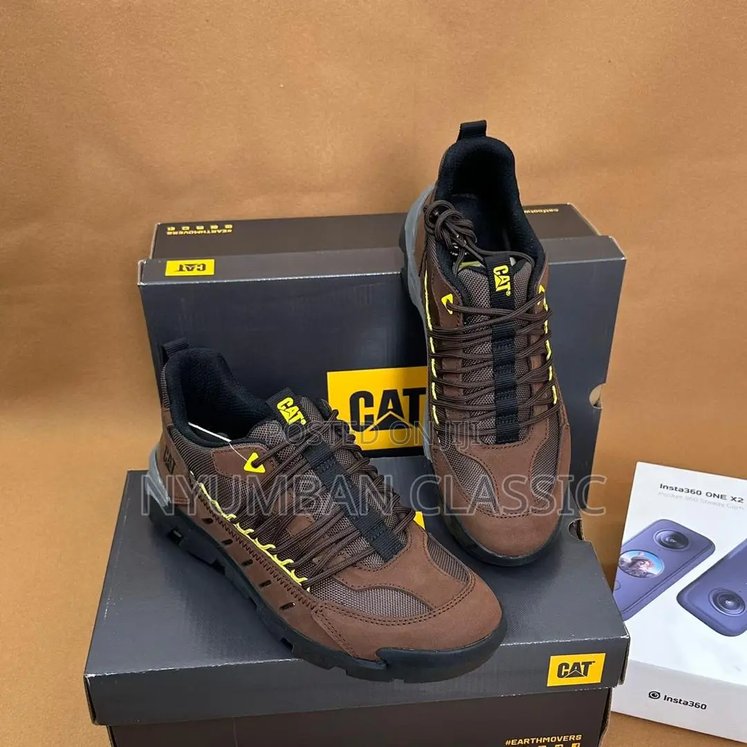 Cat Boots Shoes