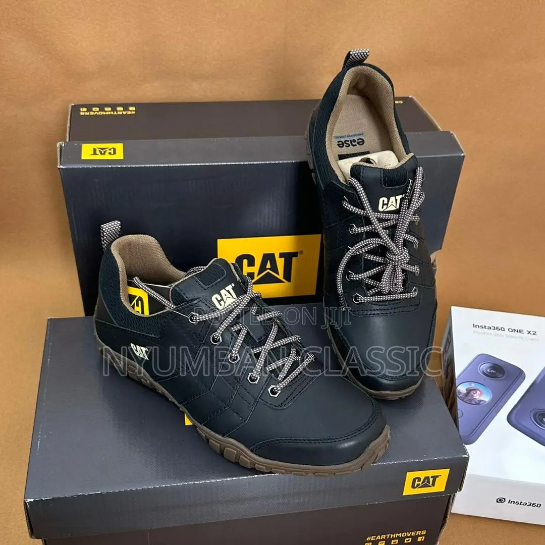 Cat Shoes Original