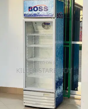 Display Fridge Lita 300