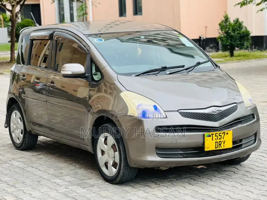 Toyota Ractis 2006 Gray