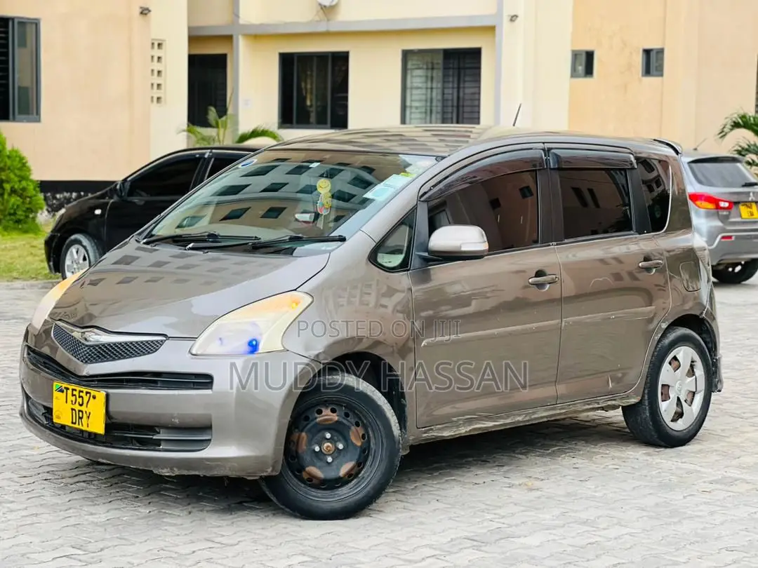 Toyota Ractis 2006 Gray