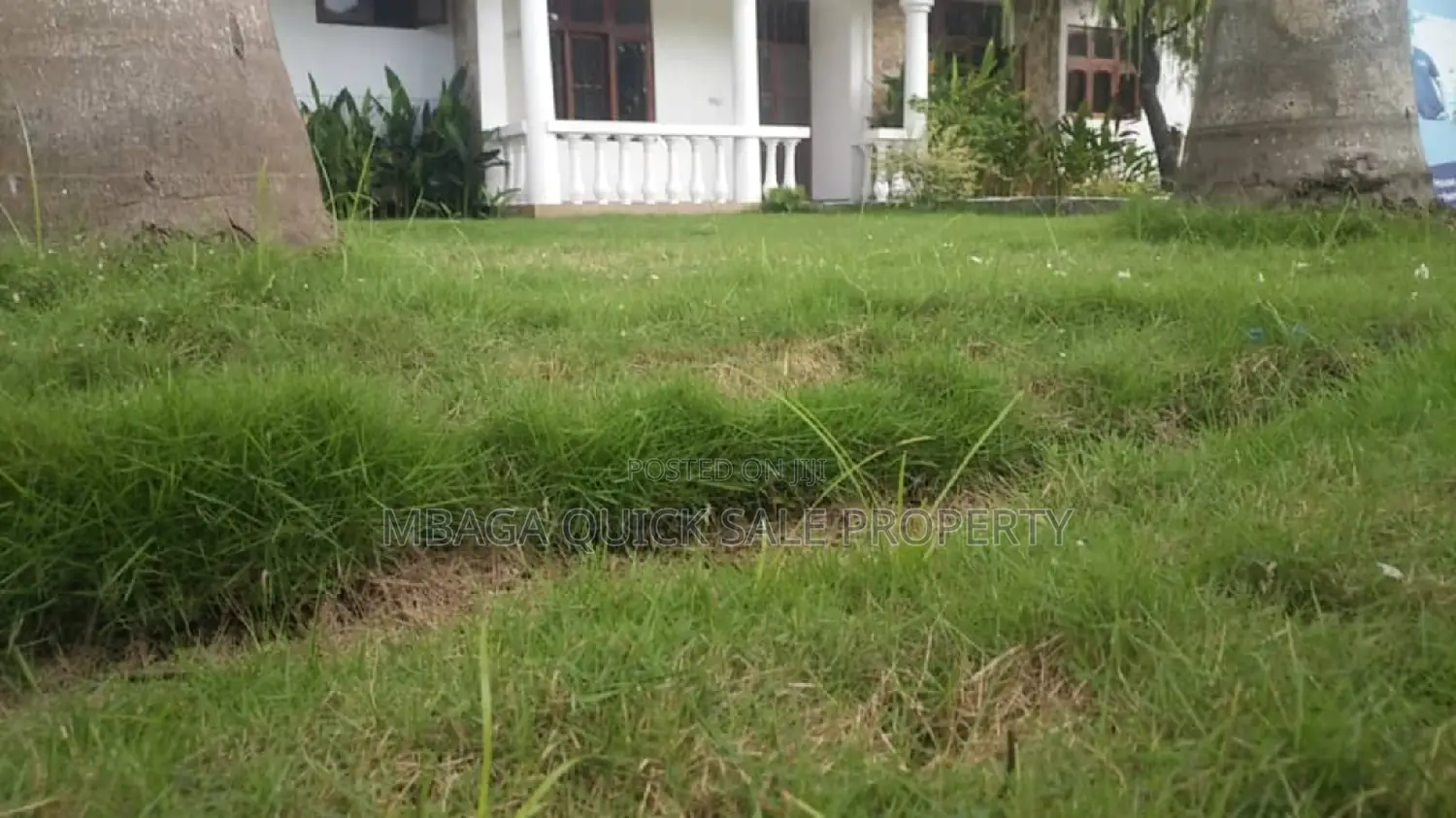 4bdrm House in Mikocheni Mwinyi for rent
