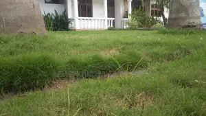4bdrm House in Mikocheni Mwinyi for rent