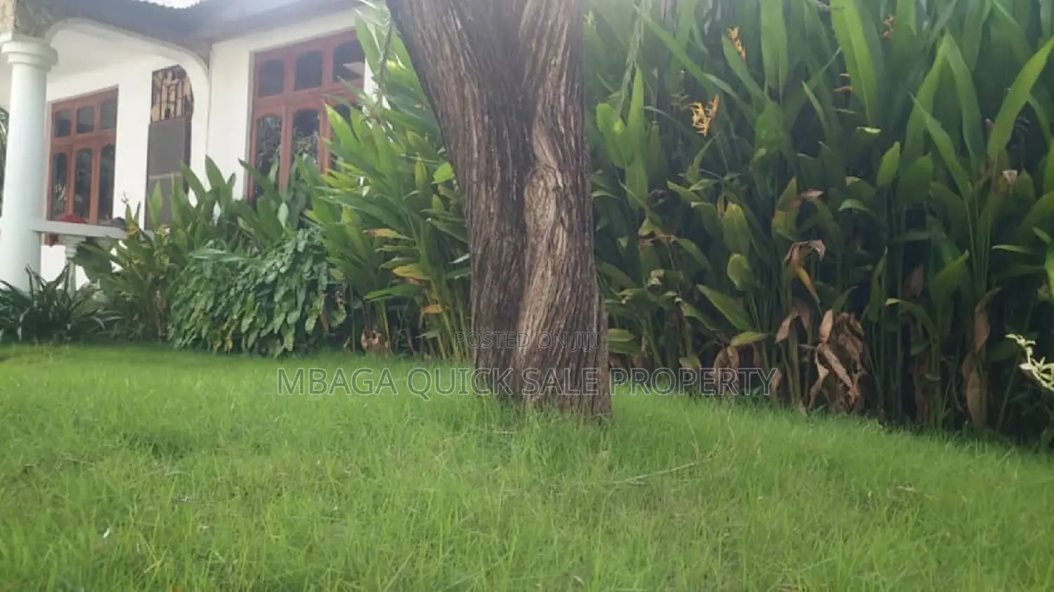 4bdrm House in Mikocheni Mwinyi for rent
