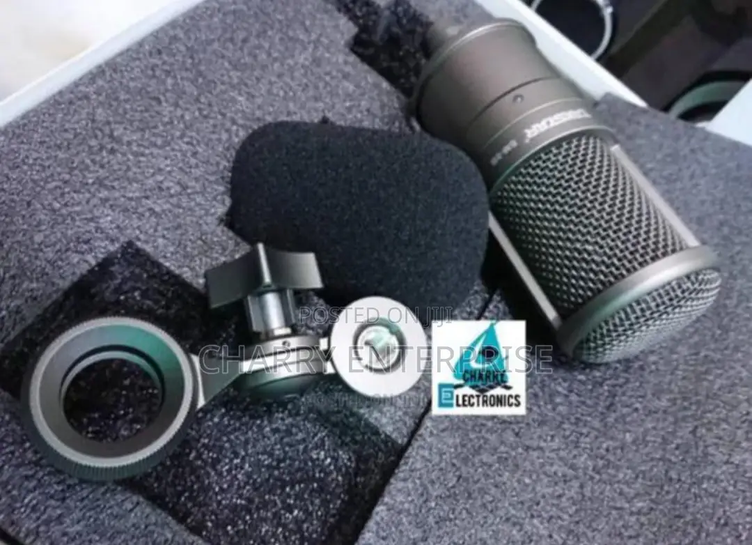 ORIGINAL TAKSTAR Professional Recording Microphone / Mic