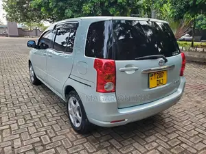 Toyota Raum 2005 Gray