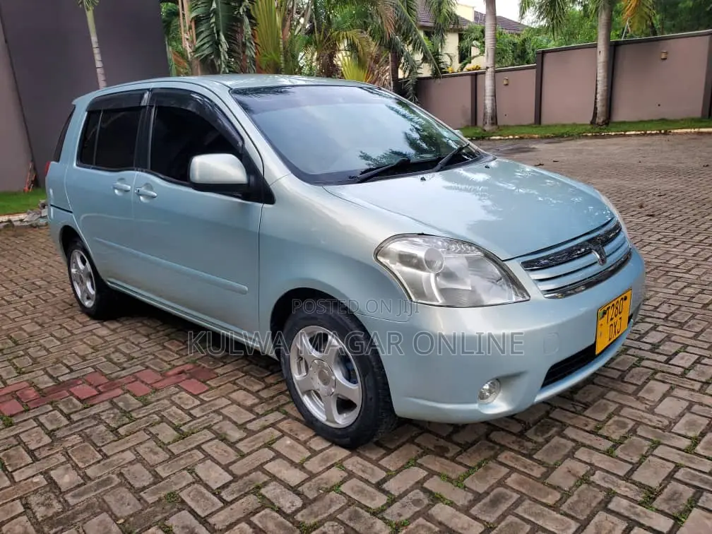 Toyota Raum 2005 Gray