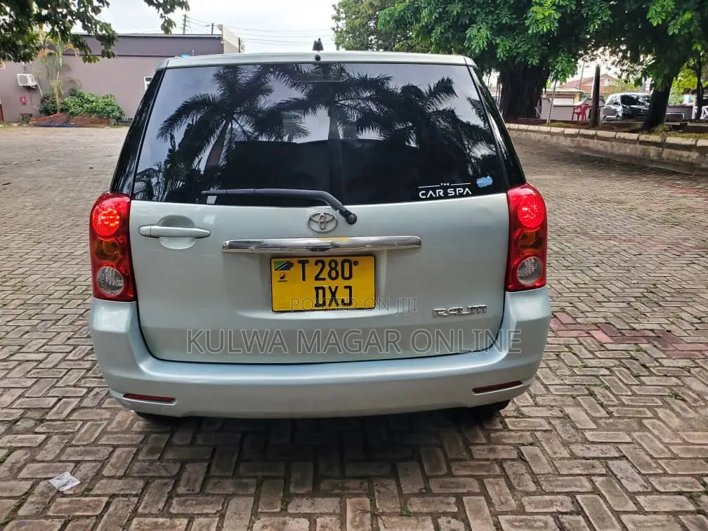 Toyota Raum 2005 Gray