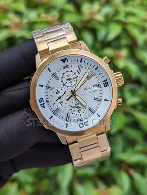 IWC Schaffhausen Watch.