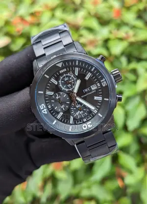 IWC Schaffhausen Watch.