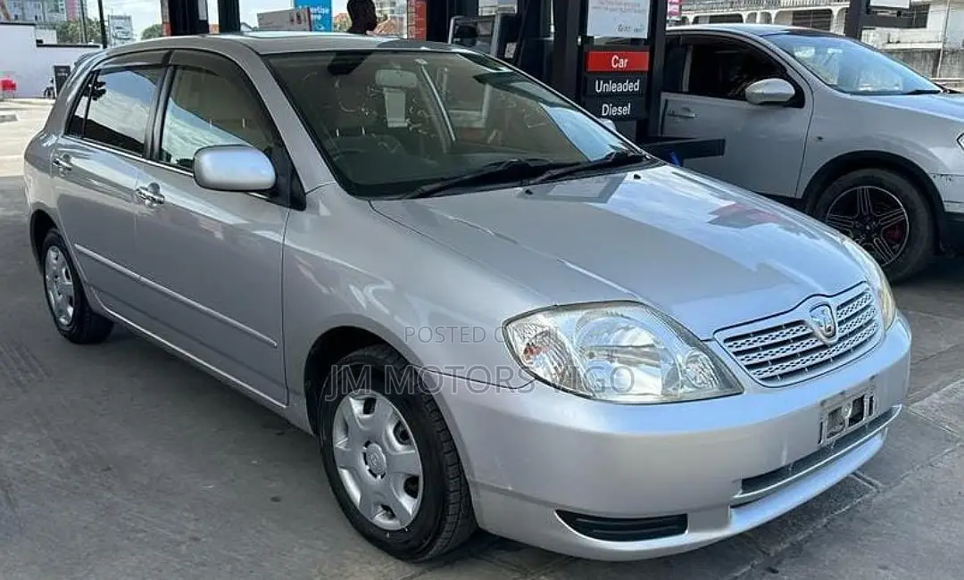 Toyota Allex 2001 Silver