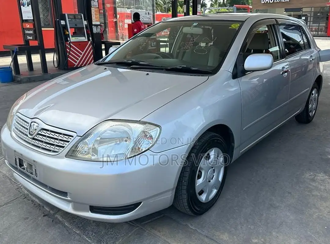Toyota Allex 2001 Silver