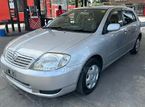 Toyota Allex 2001 Silver
