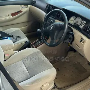 Toyota Allex 2001 Silver