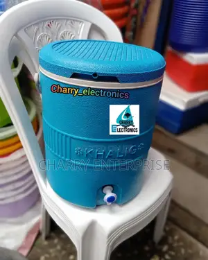 Best Quality Material Cooler Box / Deli/ ICE BOX 11L