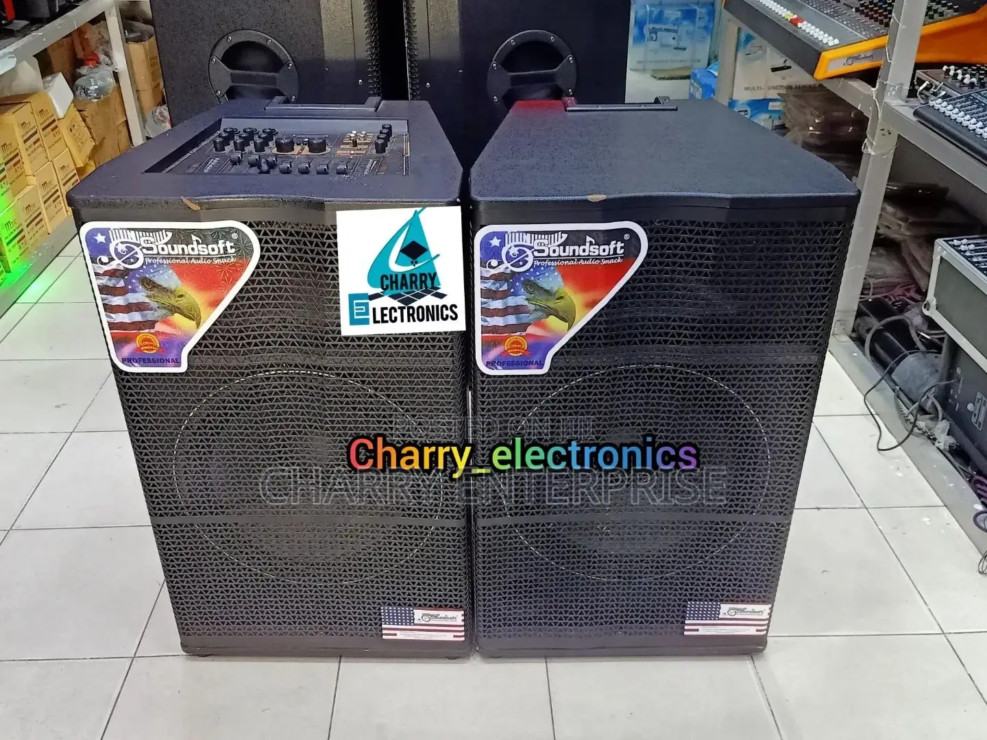 Soundsoft Speakers With Master Equalizer 2 Mic500w15"
