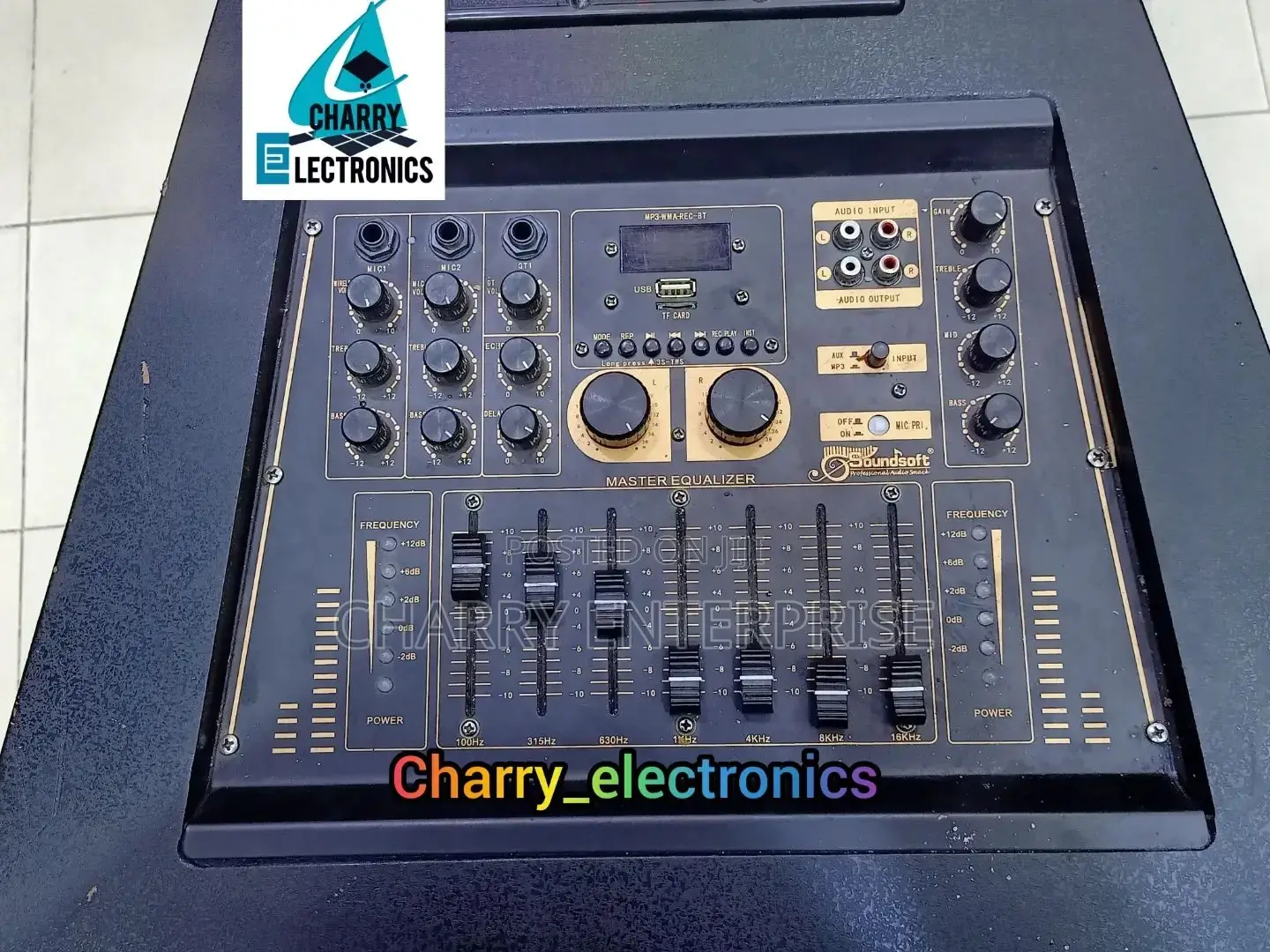 Soundsoft Speakers With Master Equalizer 2 Mic500w15"