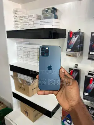 Apple iPhone 12 256 GB Gray