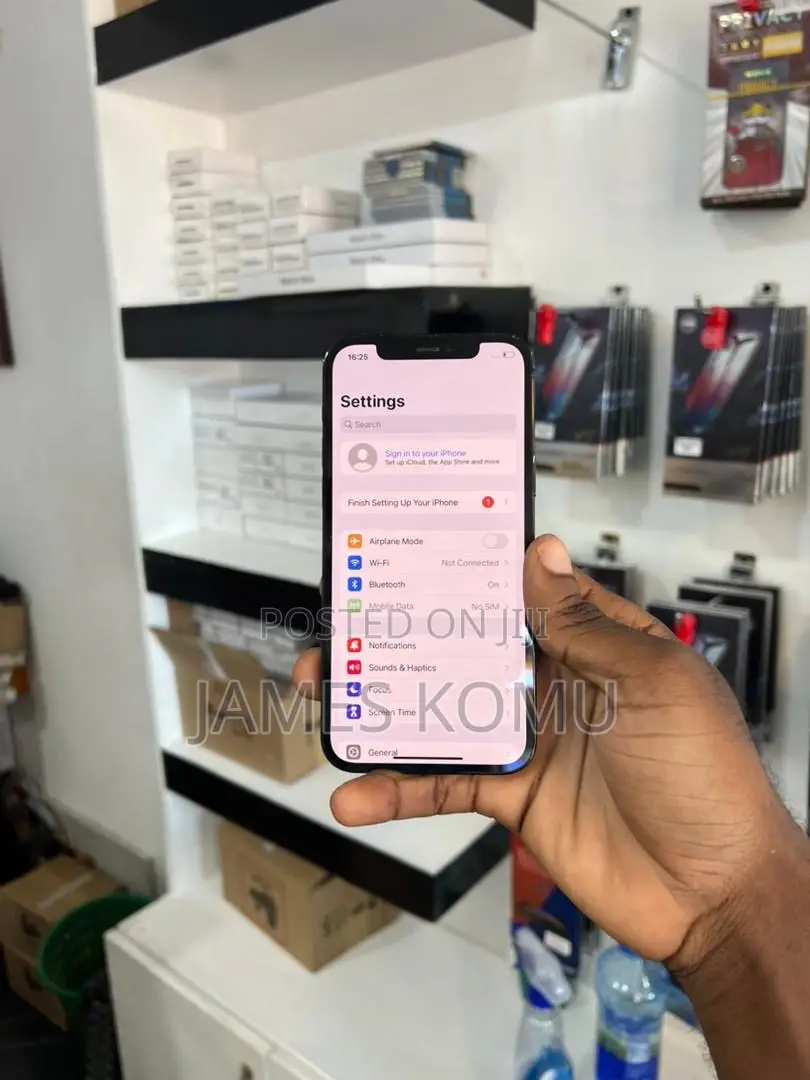 Apple iPhone 12 256 GB Gray