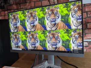HP Frameless Monitors