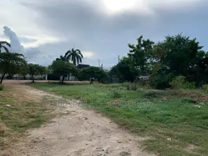 Plot Sale at Mbezi Beach-Kidimbwi Kwa Zena.
