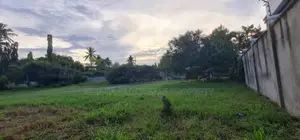 Plot for Sale at Mikocheni Avocado