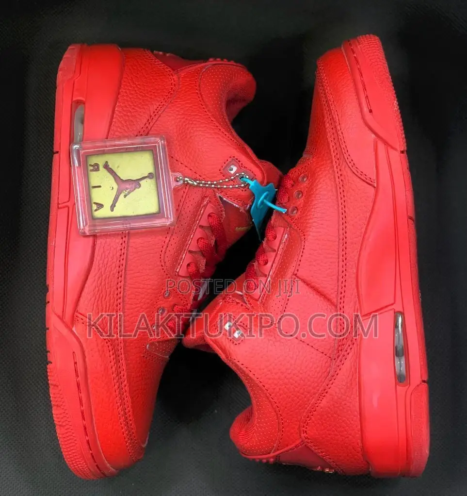 Air Jordan Plain Sneaker