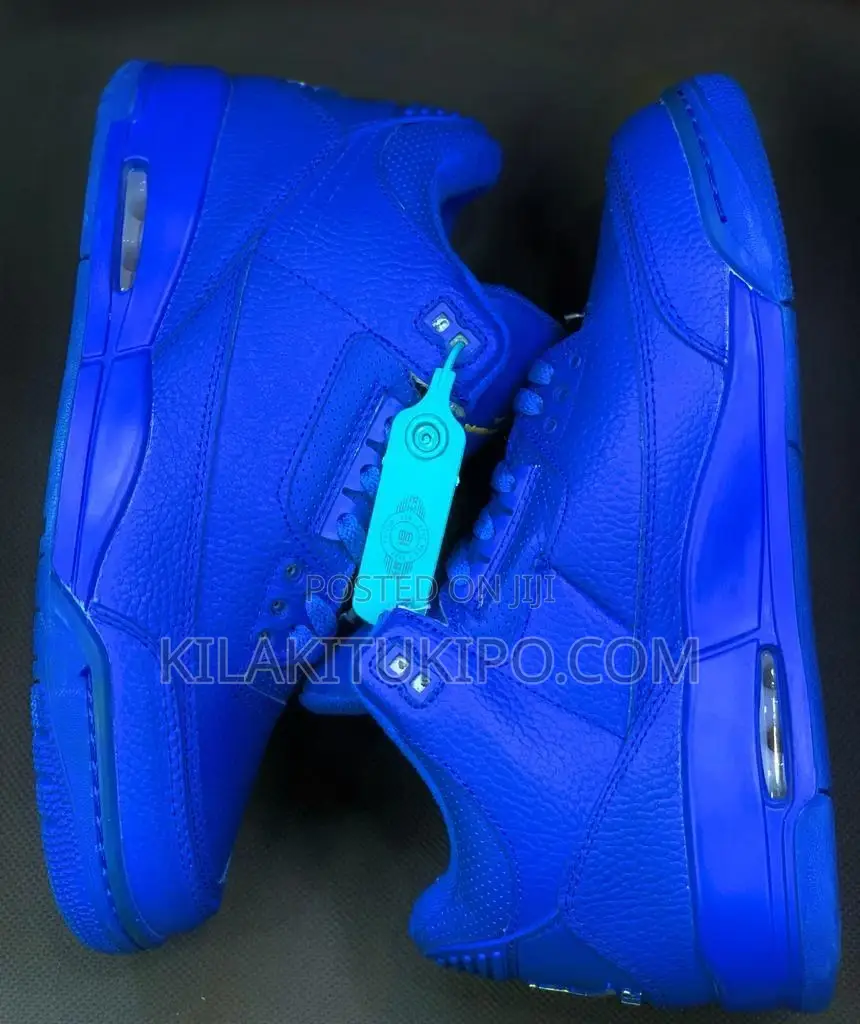Air Jordan Plain Sneaker