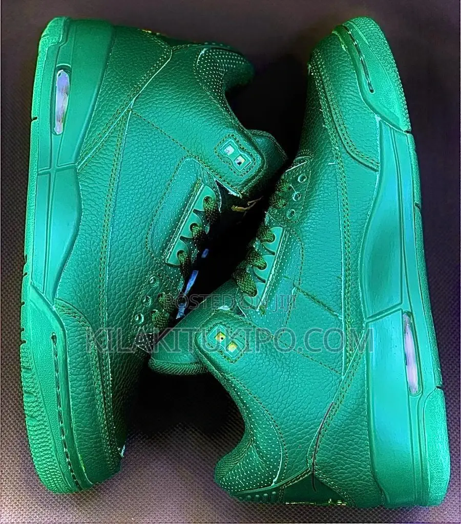 Air Jordan Plain Sneaker