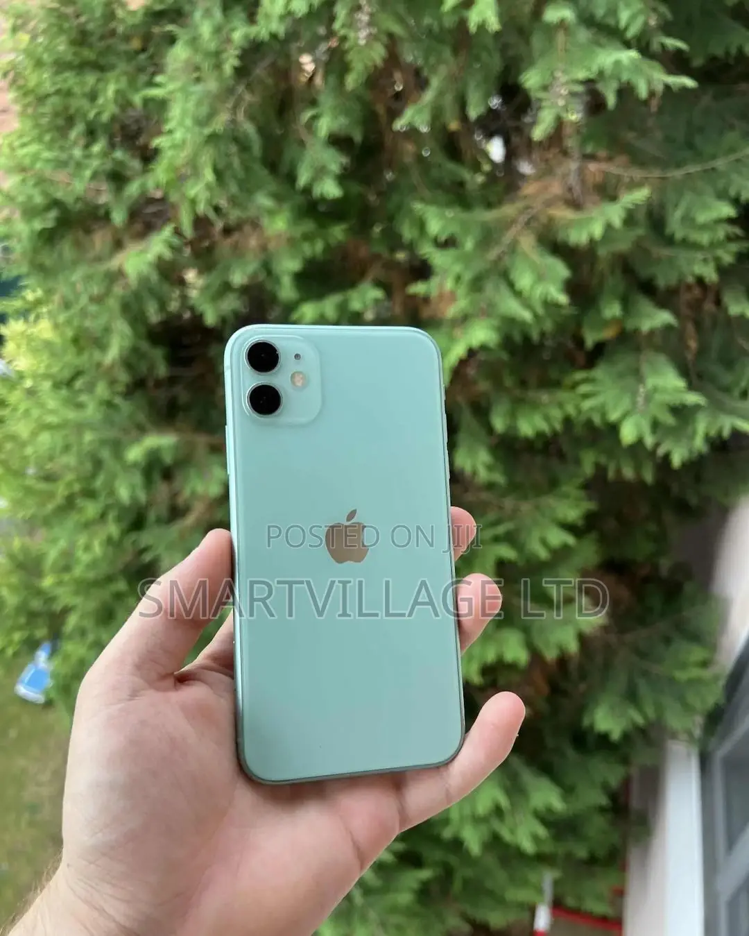 Apple iPhone 11 64 GB Green