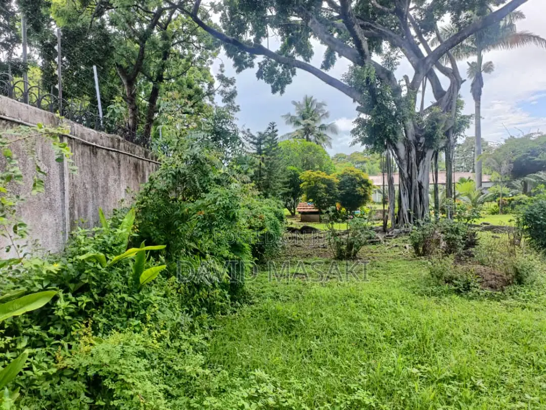 3650 Sq M Property In Oysterbay For Sale Private Ownership